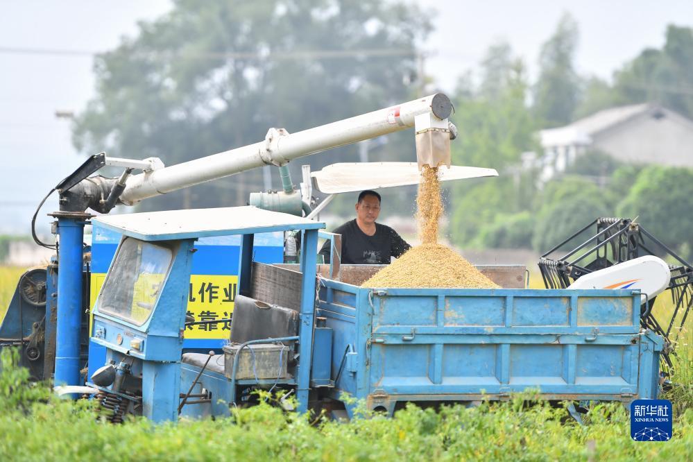 捕鱼游戏代理平台
